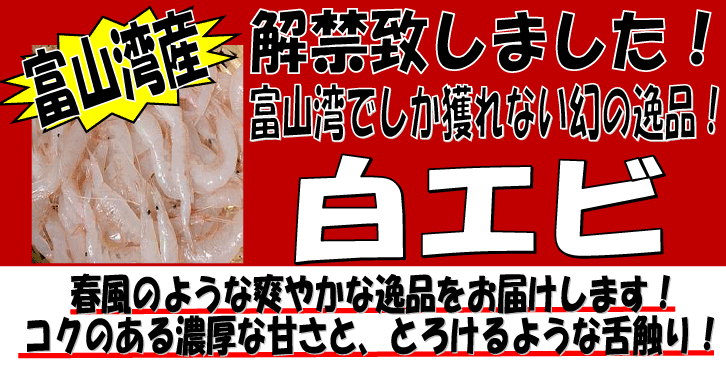 �x�R�p�Y�@���G�r