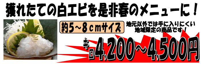 �x�R�p�Y�@���G�r