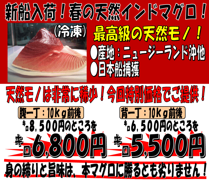 �V�R�C���h�}�O��