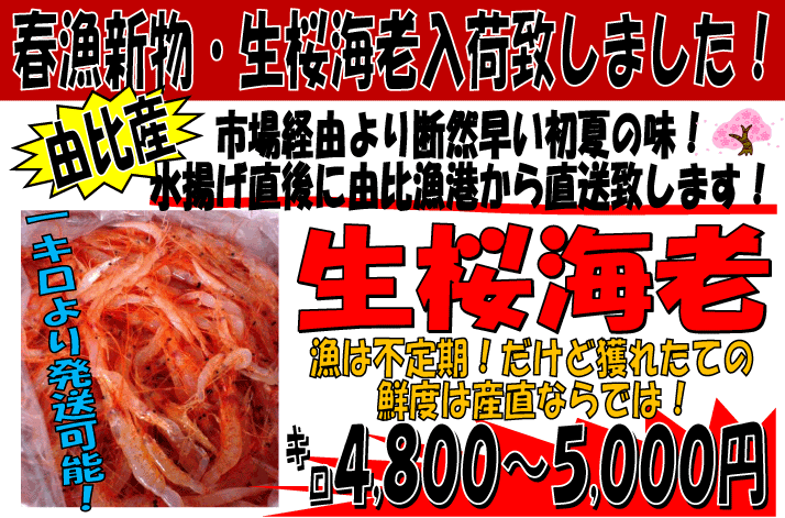 �É����R��Y�@�����G�r