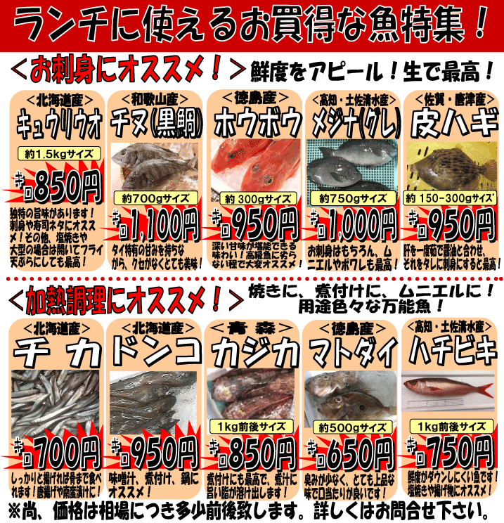 �����`�ɍœK�I���������N���I�@�L���E���E�I�A�`�k�A�z�E�{�E�A���W�i�A�J���n�M�A�`�J�A�h���R�A�J�W�J�A�}�g�E�_�C�A�n�`�r�L