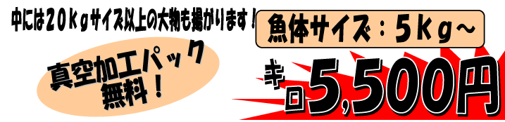 ���茧�ܓ��Y�@�ޕ��E���Y�@�V�R�{�N�G