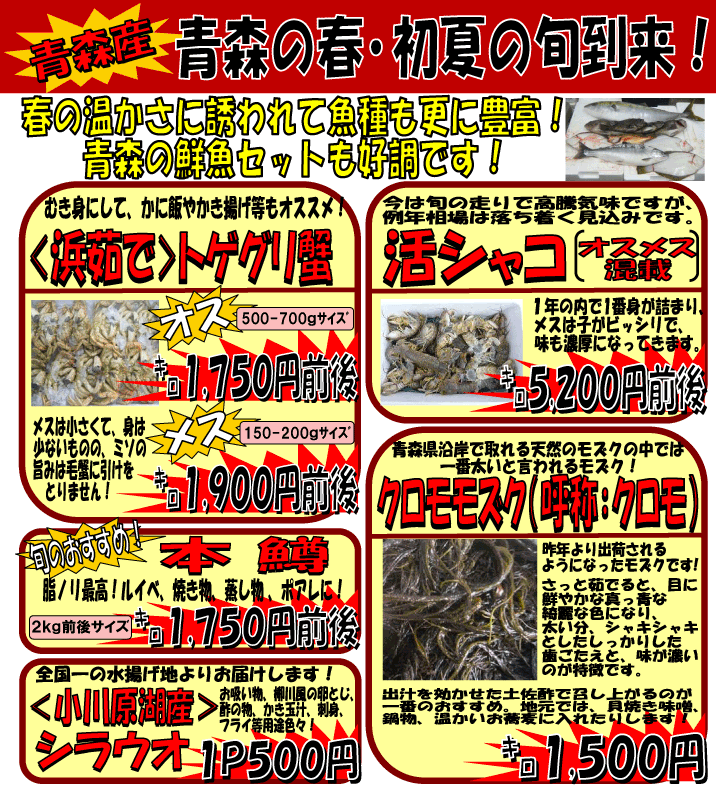 �X�Y�@�t�E���Ă̏{�����I�Ƃ��I�I�E���V���R�E�{���E��������Y�N�E�V���E�I