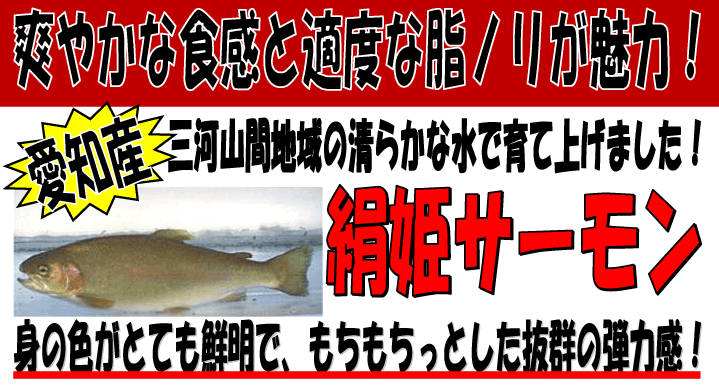 ���m���Y�@���P�T�[����