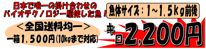 ���m���Y�@���P�T�[����