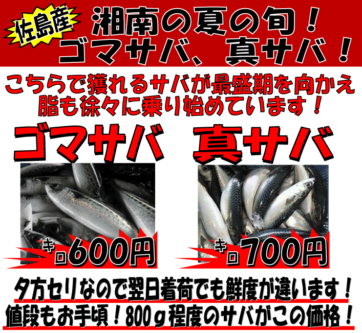 �_�ސ쌧�����@�S�}�T�o�E�^�T�o