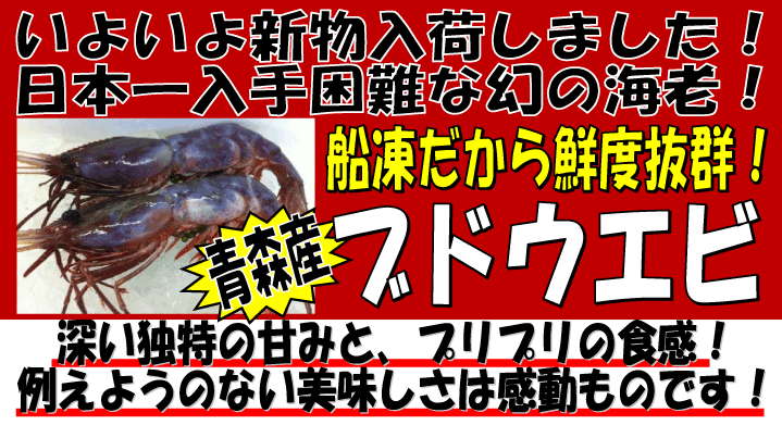 �X�Y�@�u�h�E�G�r