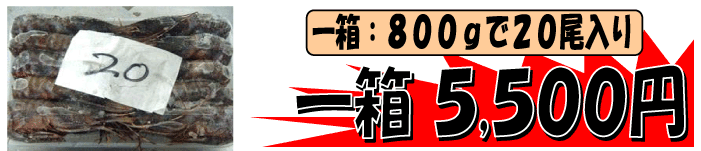 �X�Y�@�u�h�E�G�r