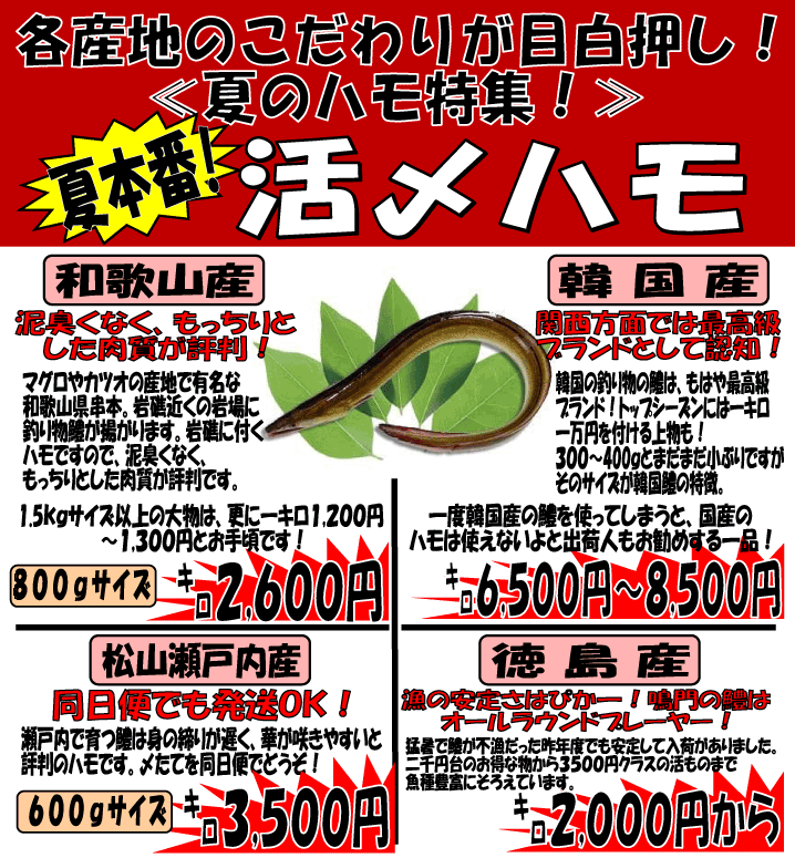 �Ė{�ԁI�y���Y�n���z�؍��Y�E�a�̎R�Y�E���Q�Y�E�����Y