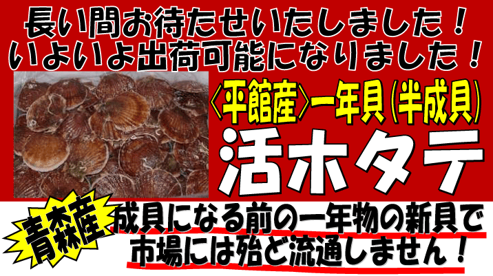 �X�Y���z�^�e�i�����L�j