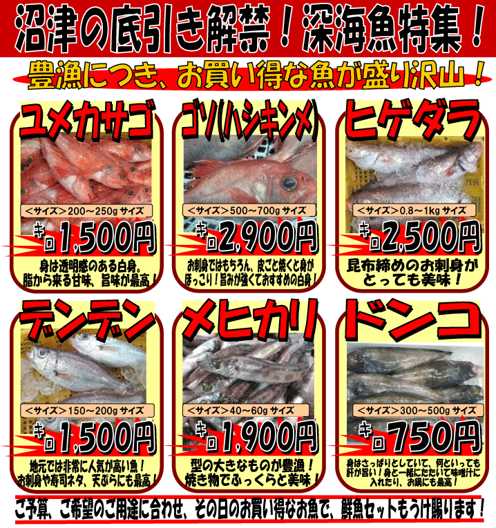 ���Â̒���������ցI�@�[�C�����W