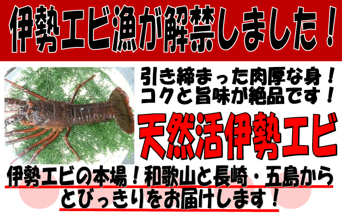 �ɐ��G�r�����ցI