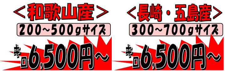 �ɐ��G�r�����ցI