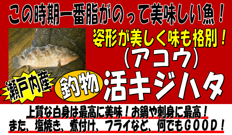 ���˓��Y�@���L�W�n�^�i�A�R�E�j