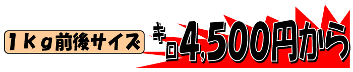 ���˓��Y�@���L�W�n�^�i�A�R�E�j