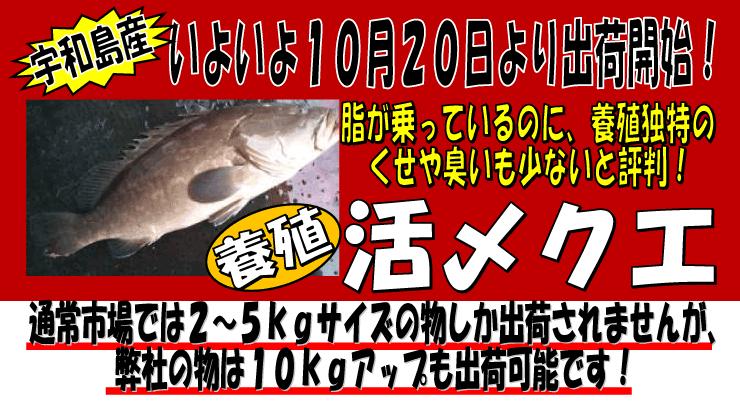 ���Q���F�a���Y�@���Y�N�G