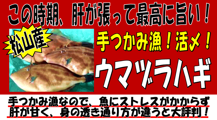 ���Q�����R�Y�@�E�}�d���n�M