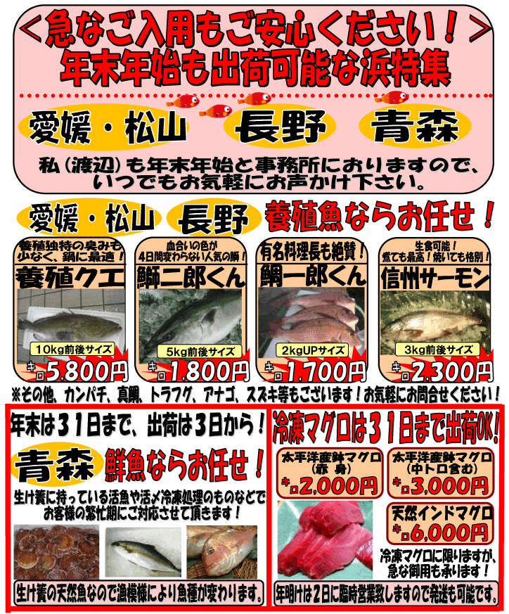 �N���N�n���o�׉\�ȕl���W�I