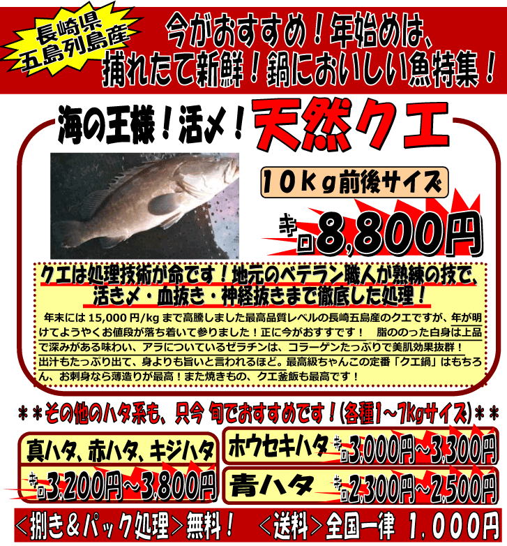 ���茧�ܓ��񓇎Y�@���Y�V�R�N�G