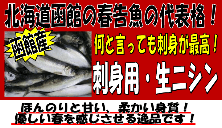 �k�C�����َY�@�h�g�p���j�V��