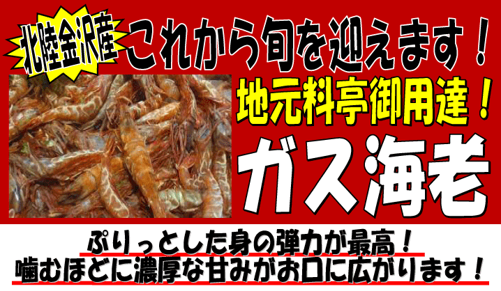 �ΐ쌧����Y�@�K�X�G�r