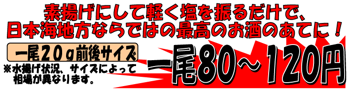 �ΐ쌧����Y�@�K�X�G�r