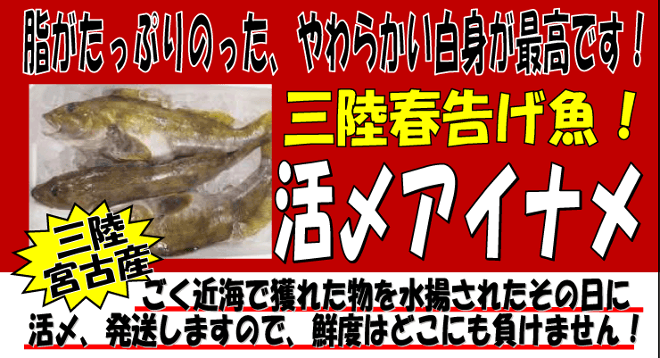 �O���{�ÎY�@���Y�A�C�i��