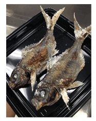 �a�̎R���Y�@���߂���