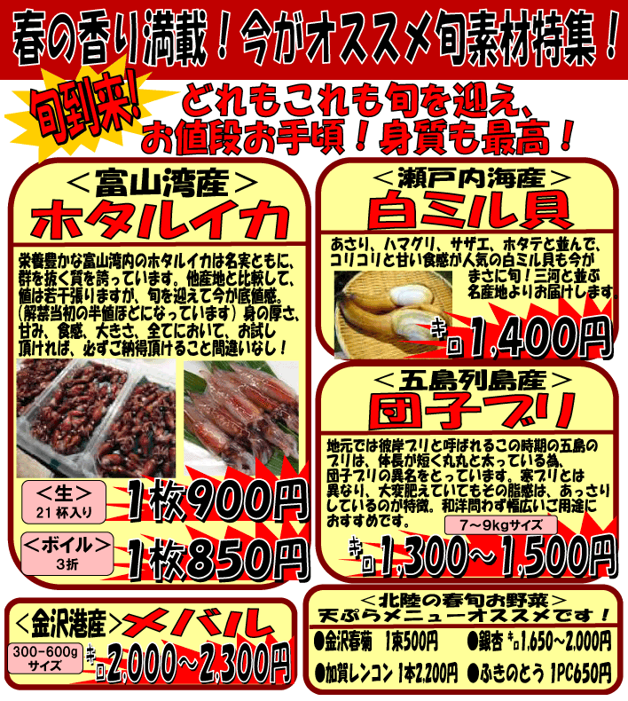 �t�̑N���@�z�^���C�J�����~���L���c�q�u��