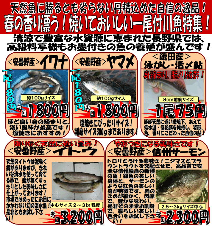 ����t�싛���W