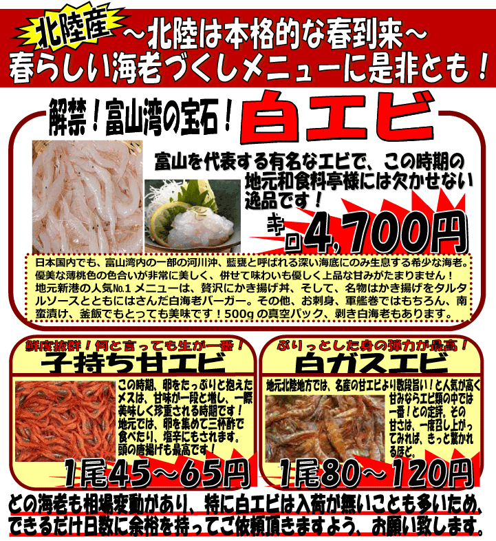 �k���Y�@���G�r�E�q�����ÃG�r�E���K�X�G�r