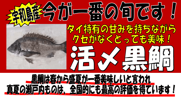 ���Q���F�a���Y�@���Y����