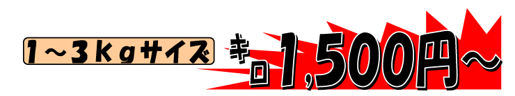 ���Q���F�a���Y�@���Y����