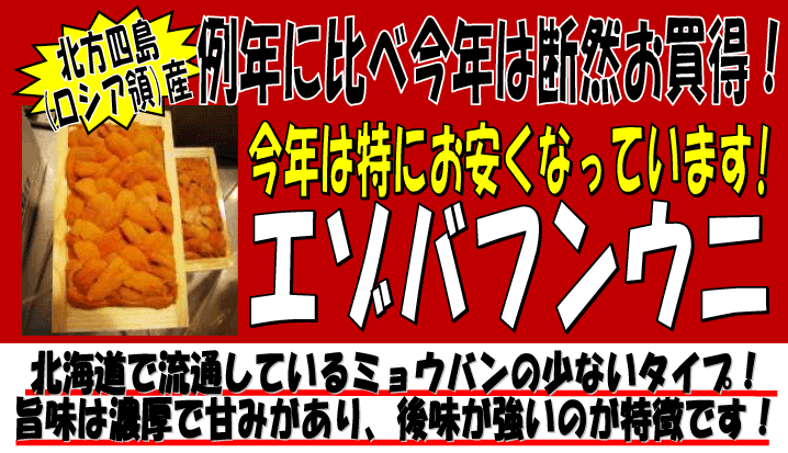 �k���l���i���V�A�́j�@�G�]�o�t���E�j