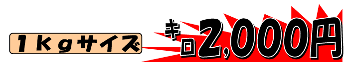 ���茧�ܓ��Y�@���Y�`���T�o