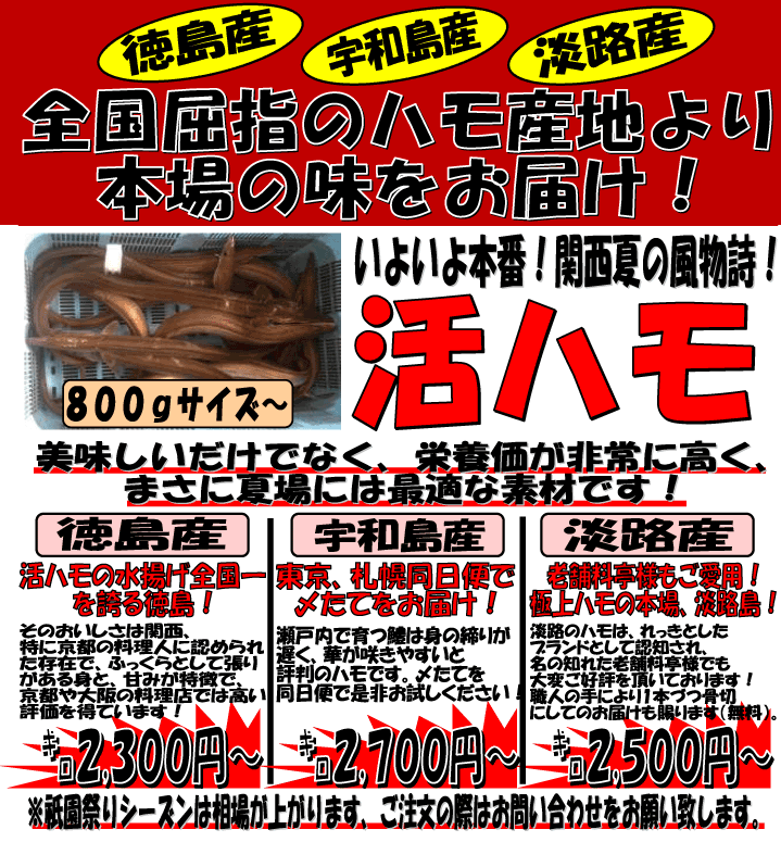 �����E�F�a���E�W�H�@���n�����W