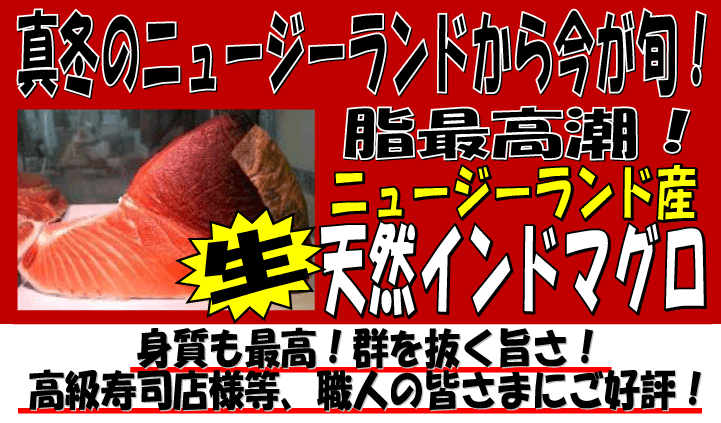 �j���[�W�[�����h�Y�@�V�R�C���h�}�O��