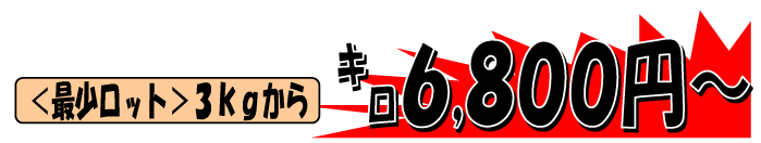 �j���[�W�[�����h�Y�@�V�R�C���h�}�O��