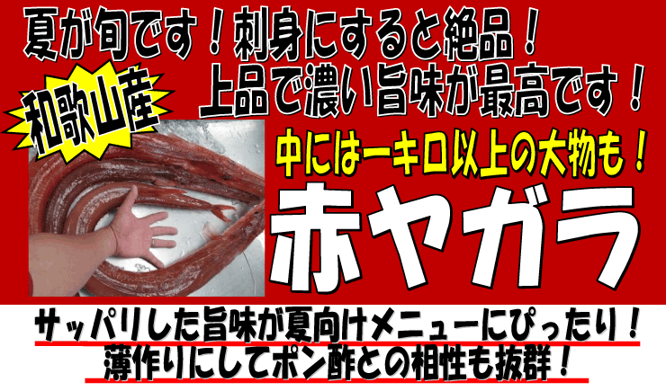 �a�̎R���Y�@�ԃ��K��