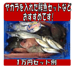 �a�̎R���Y�@�ԃ��K��