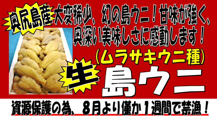 ���K���Y�@�����E�j�i�����T�L�E�j��j