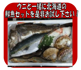 ���K���Y�@�����E�j�i�����T�L�E�j��j