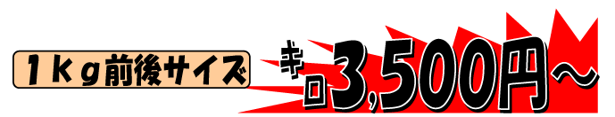 �a�̎R���Y�@���Y���C�`�_�C