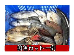 �a�̎R���Y�@���Y���C�`�_�C