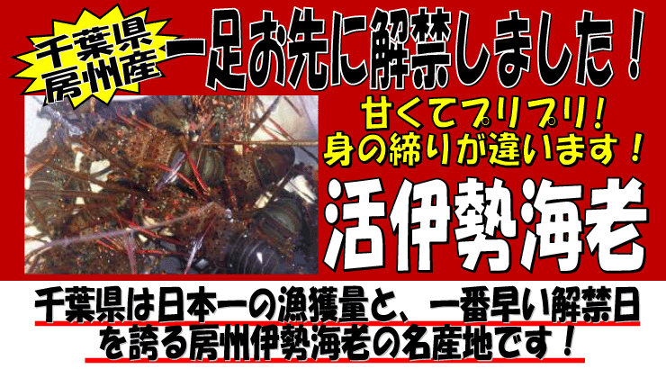 ��t���[�B�Y�@���ɐ��C�V