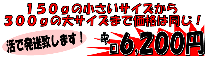 ��t���[�B�Y�@���ɐ��C�V