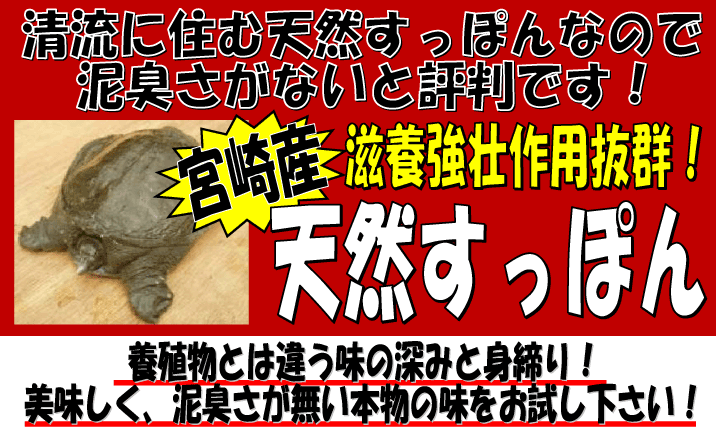 �{�茧�Y�@�V�R�����ۂ�