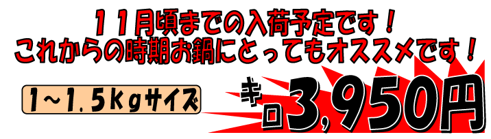 �{�茧�Y�@�V�R�����ۂ�