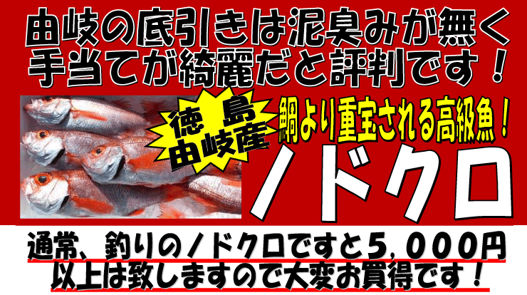 �������R��Y�@�m�h�N��