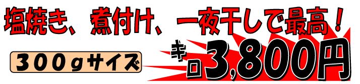 �������R��Y�@�m�h�N��